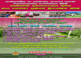 Developing agricultural and industrial entrepreneurs