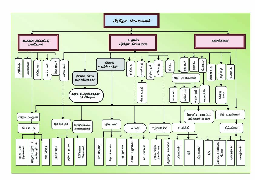 organization chart tamil